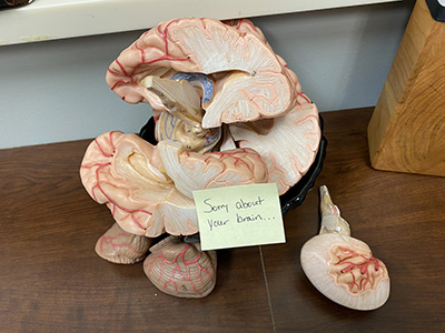 Brain awareness month